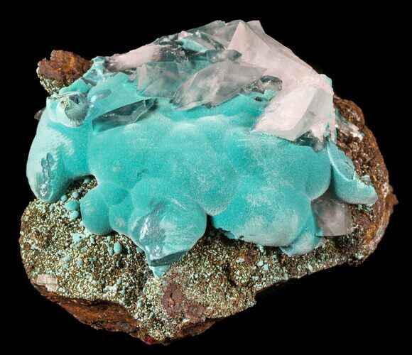 Fibrous Rosasite and Selenite Association - Mexico #51074